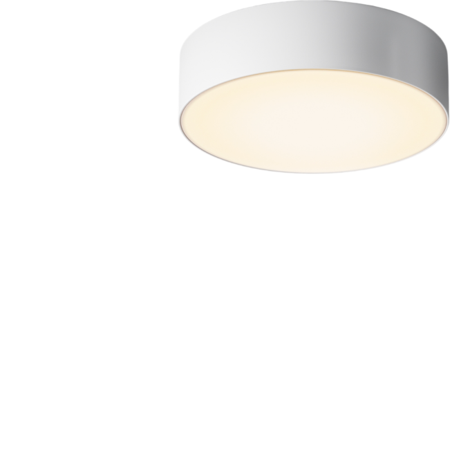 Потолочный светильник MAYTONI ZON IP O431CL-L30W4K